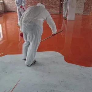 22802534_1902252756760771_8077746401783578624_n