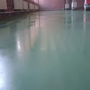 22857985_148485582435458_4235029579980341248_n