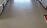22860467_497014484002347_5939249573418500096_n