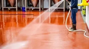 Clip2net_171209102514-300x168
